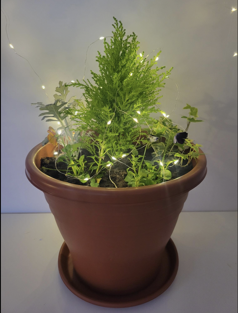 Garden Pot hamper image